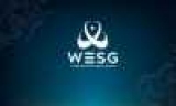 CS:GO.  WESG 2019    